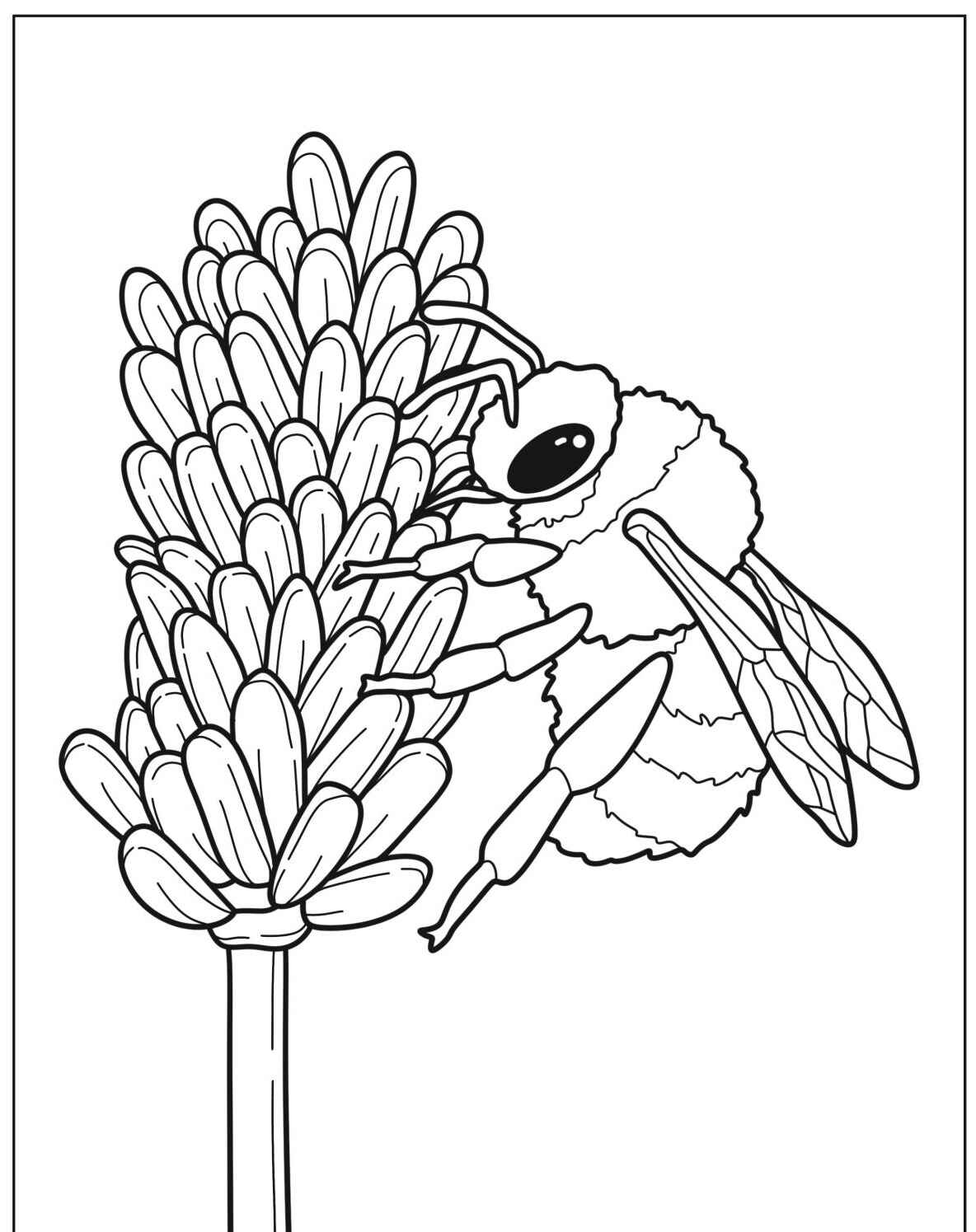 Desenho de Abelha em flor para colorir