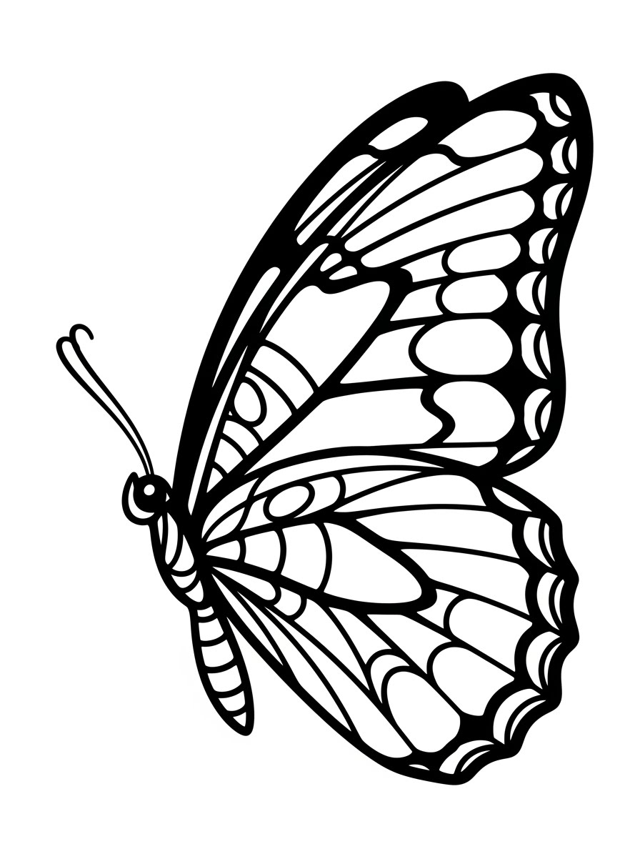 Desenho de Borboleta detalhada para colorir