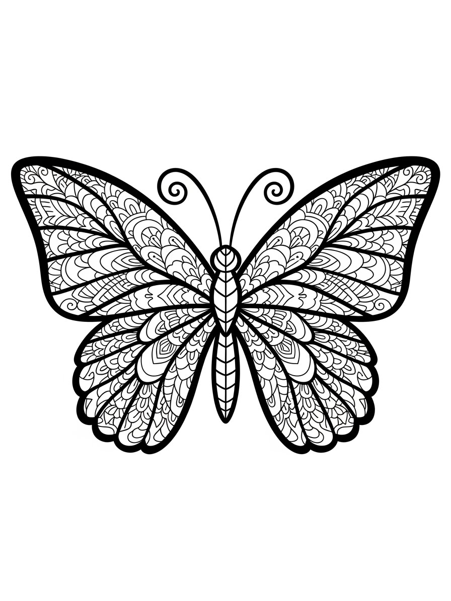 Desenho de Borboleta com padrões para colorir