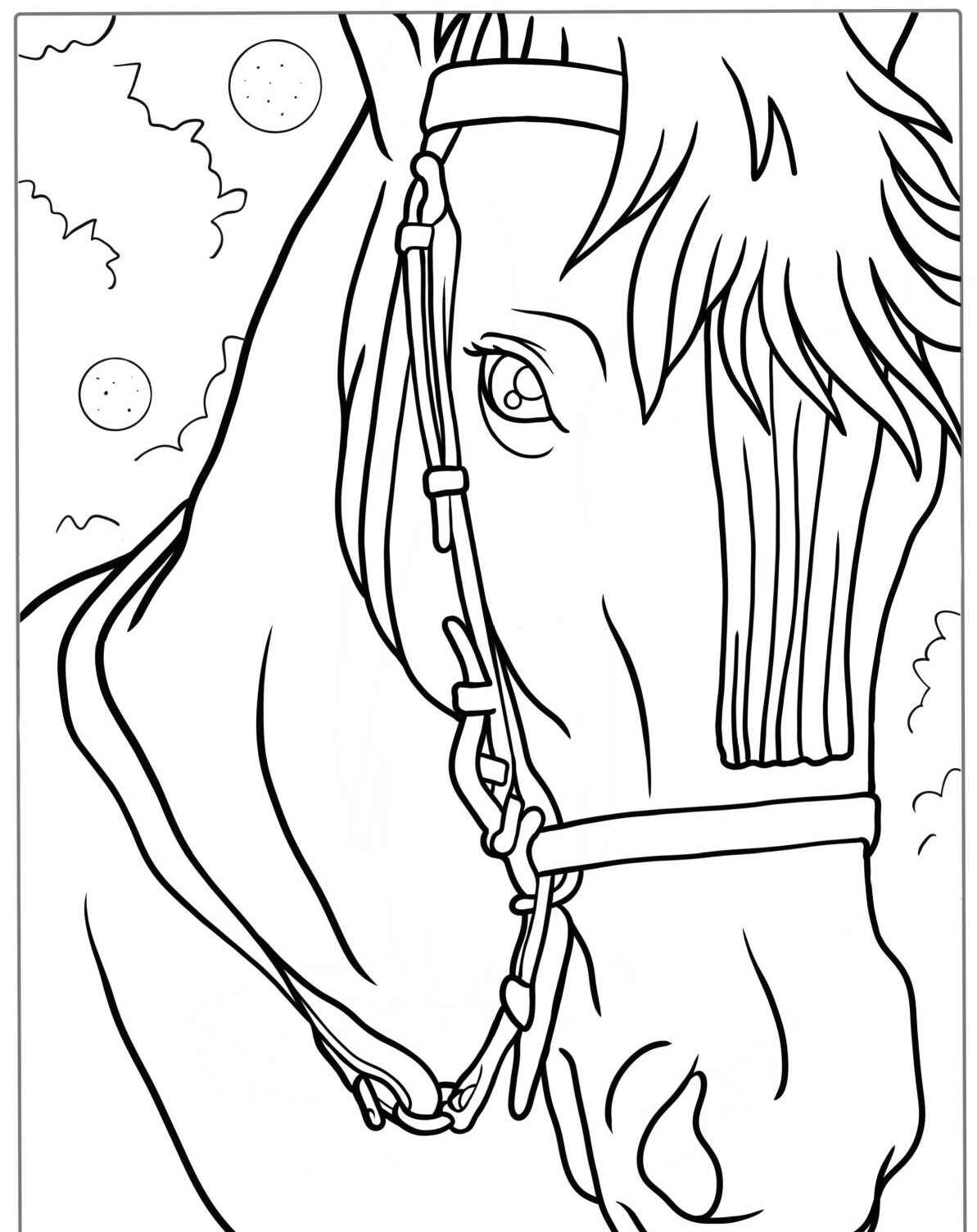 Desenho de Cavalo com cabeçada para colorir