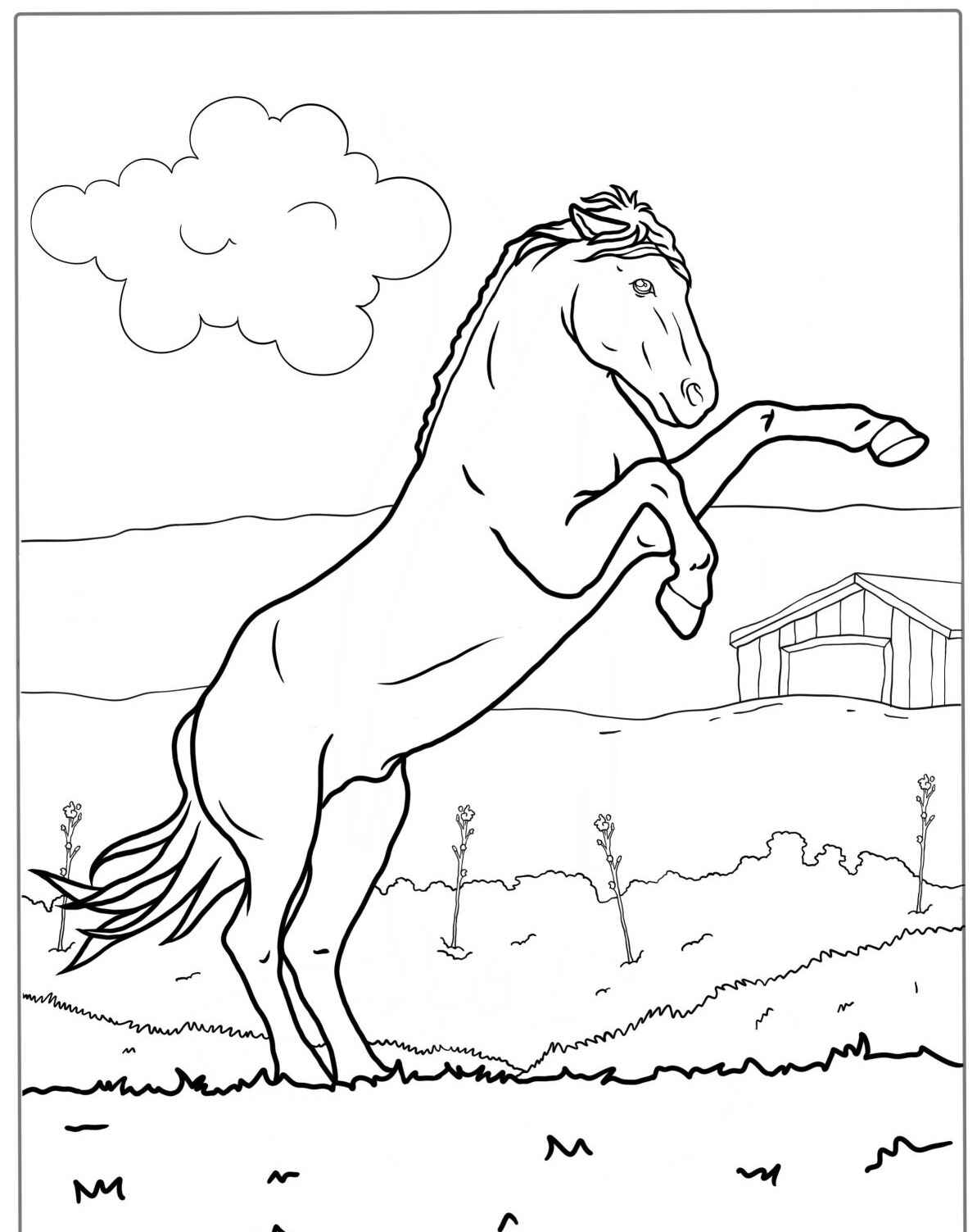 Desenho de Cavalo empinado no campo para colorir