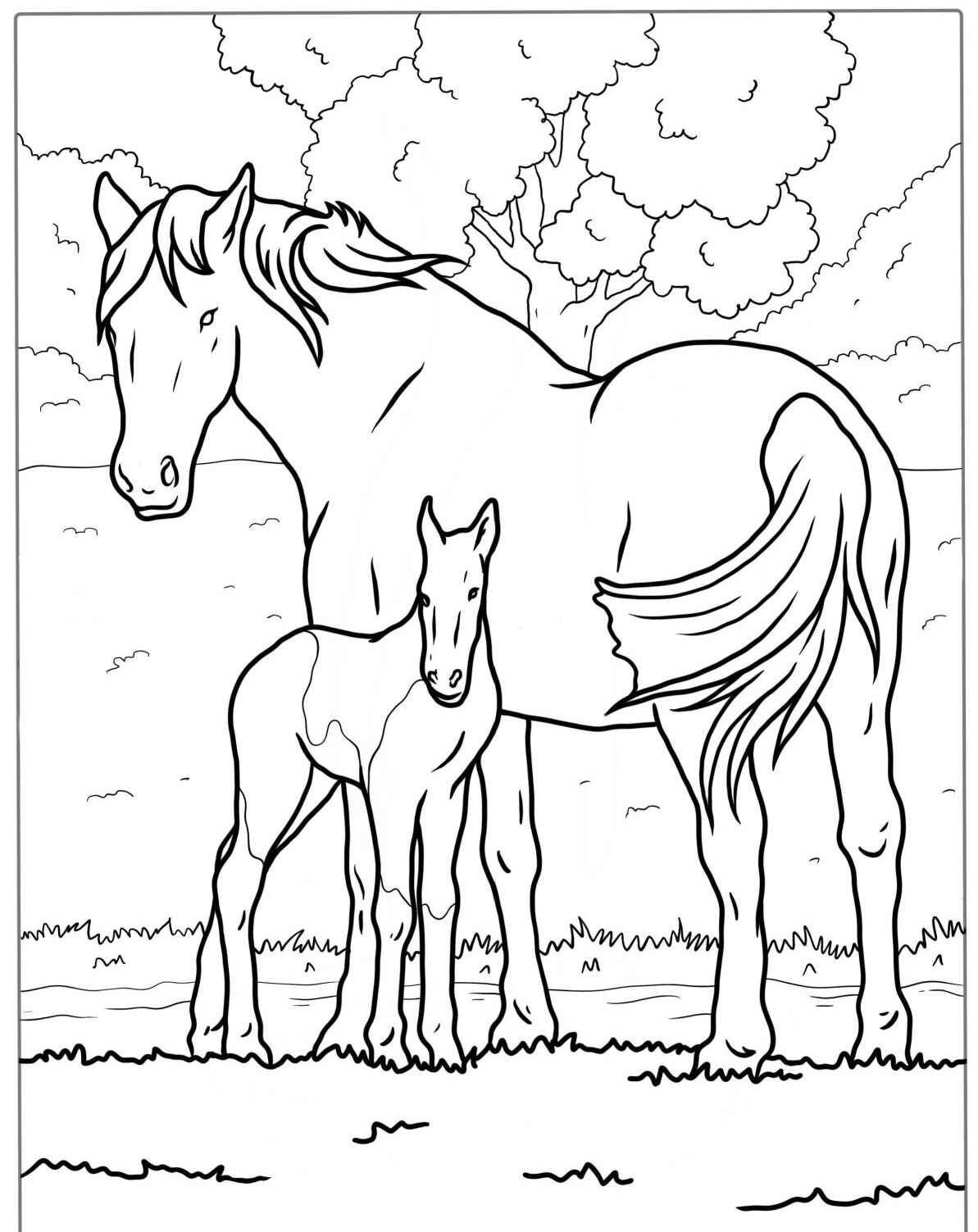 Desenho de Cavalo e potro juntos para colorir