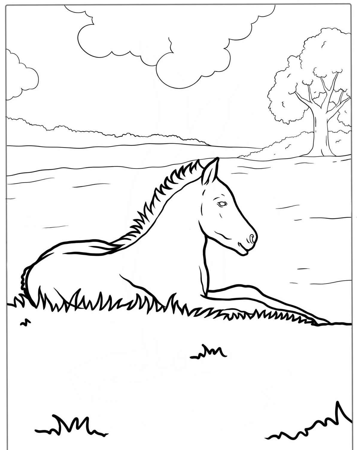 Desenho de Cavalo deitado na grama para colorir