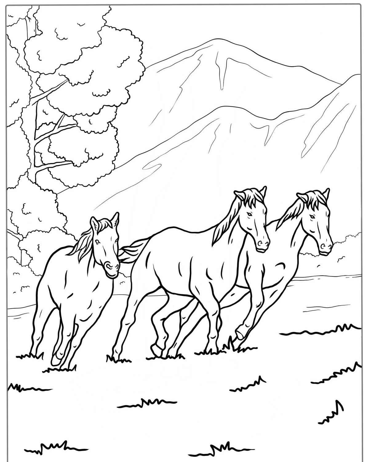 Desenho de Cavalos correndo na montanha para colorir