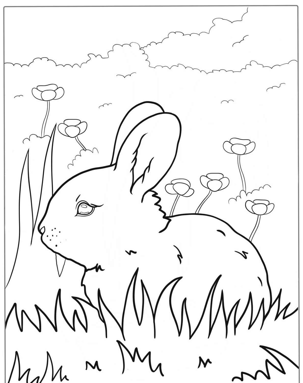 Desenho de Coelho entre flores e grama para colorir