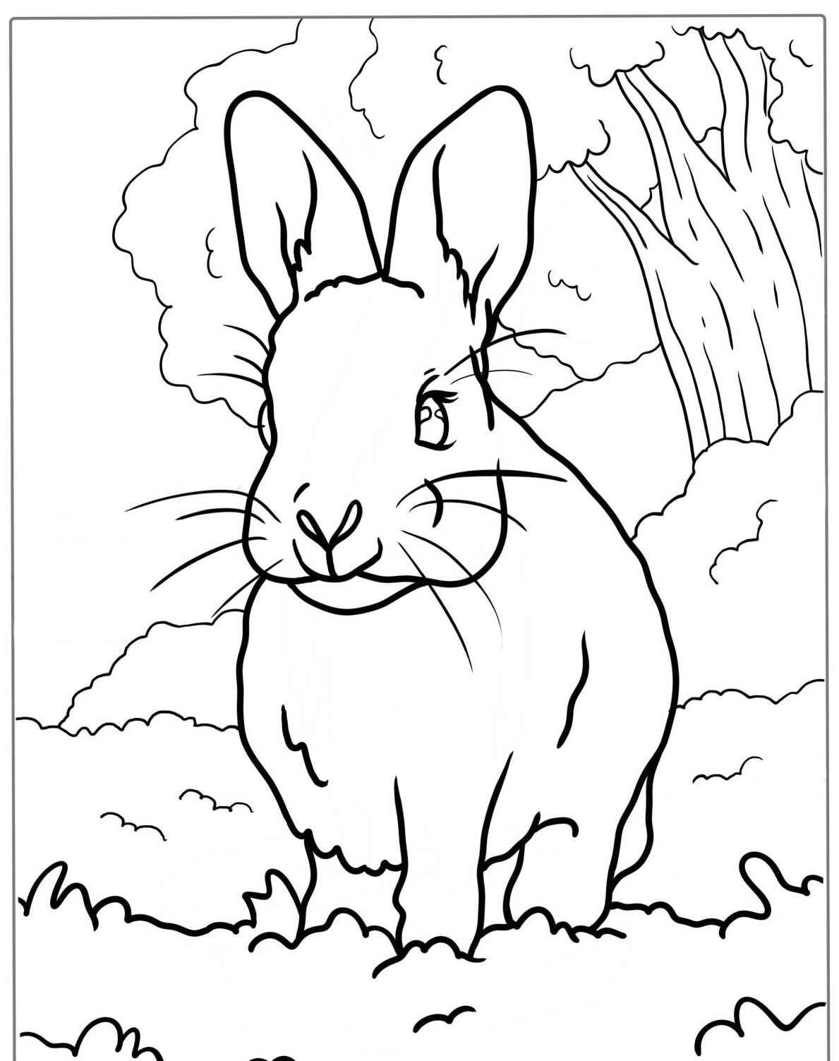 Desenho de Coelho em um campo cercado por árvores