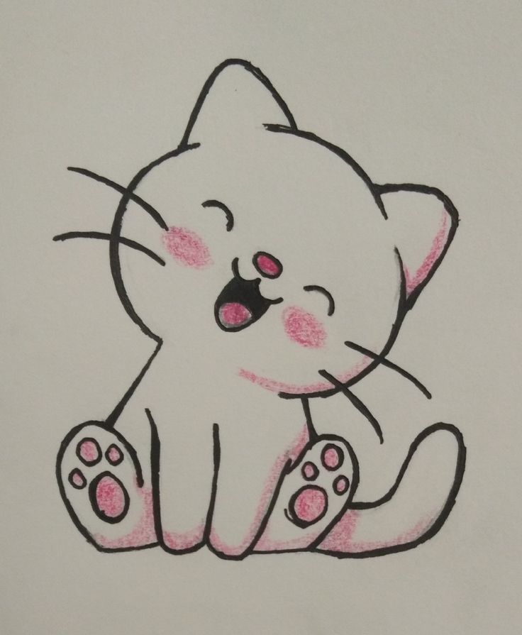Gato fofo e sorridente para desenhar fácil no tédio