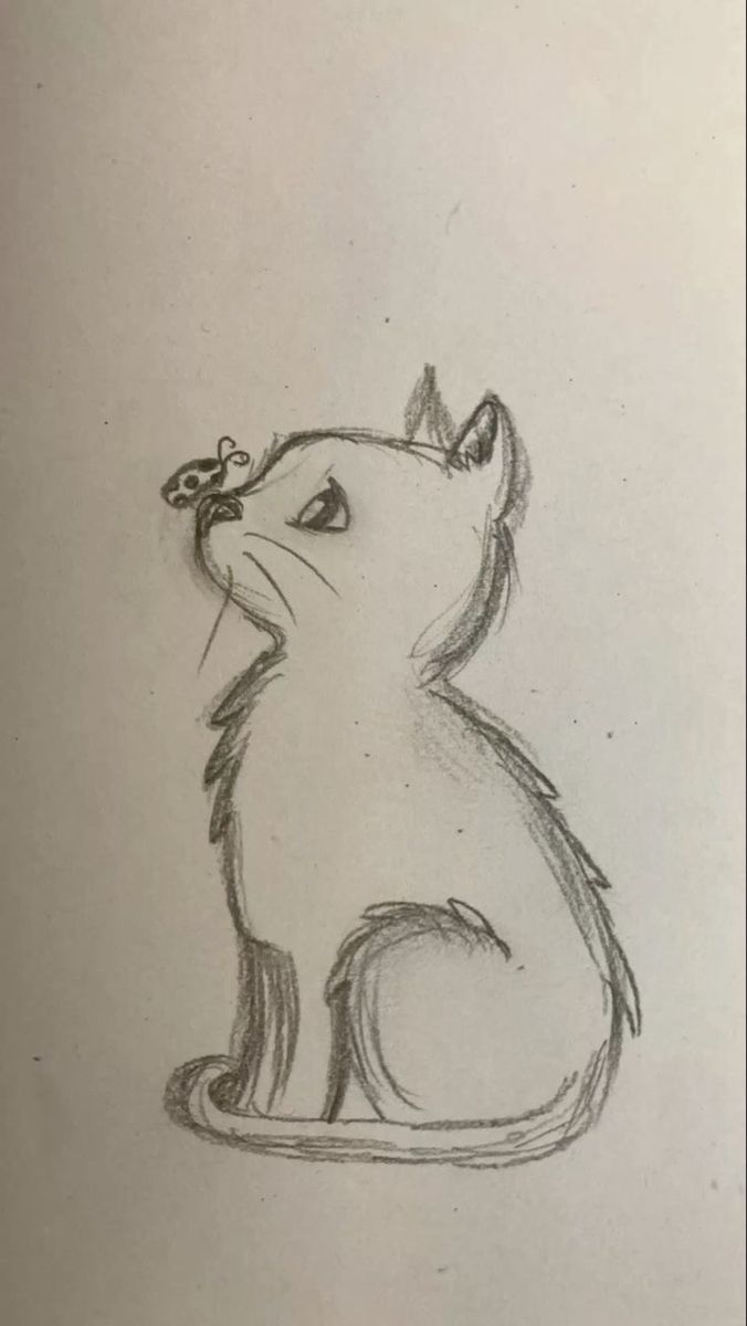 Gato fofo observando uma borboleta para desenhar no tédio