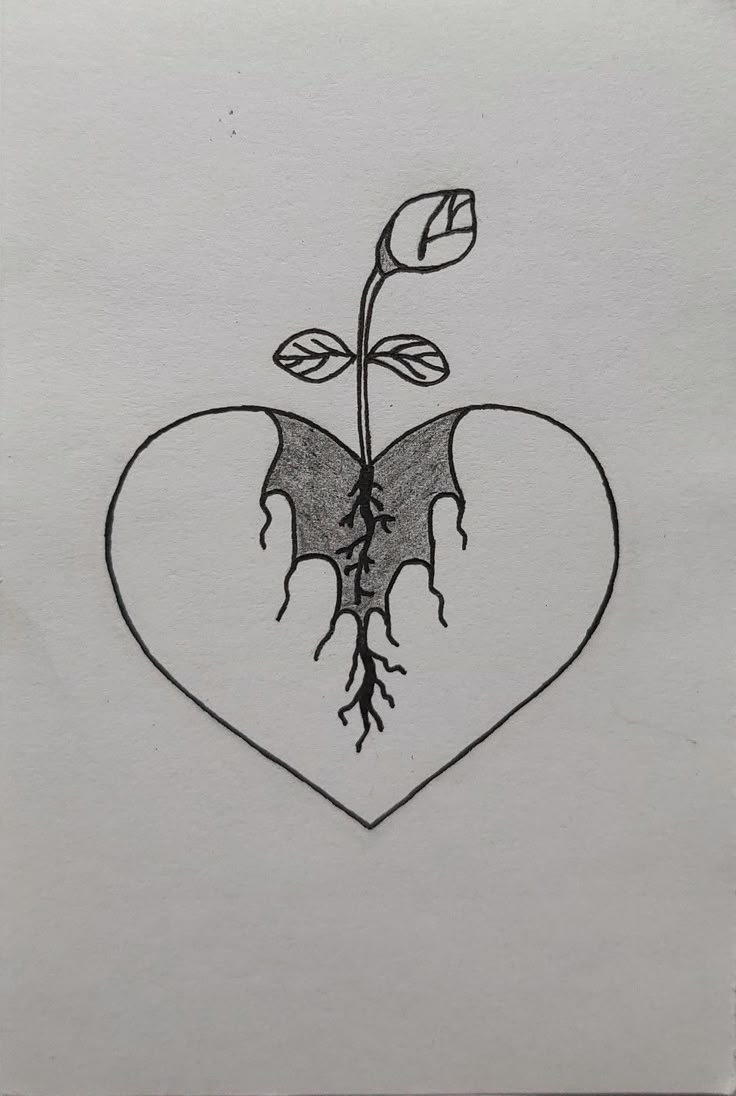 Coração com raízes e uma rosa crescendo no centro