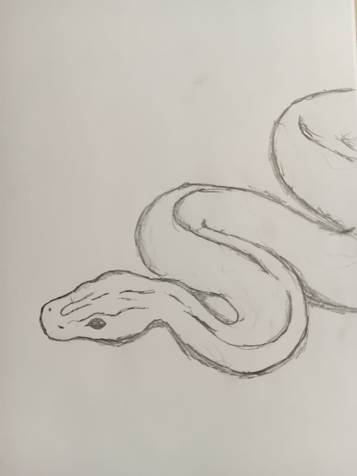 Serpente em desenho simples e fácil para fazer no tédio
