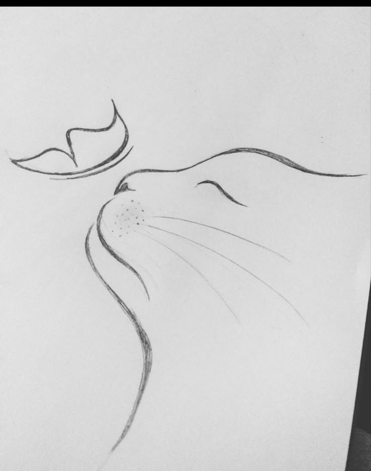 Desenho de um gato com uma borboleta acima da cabeça