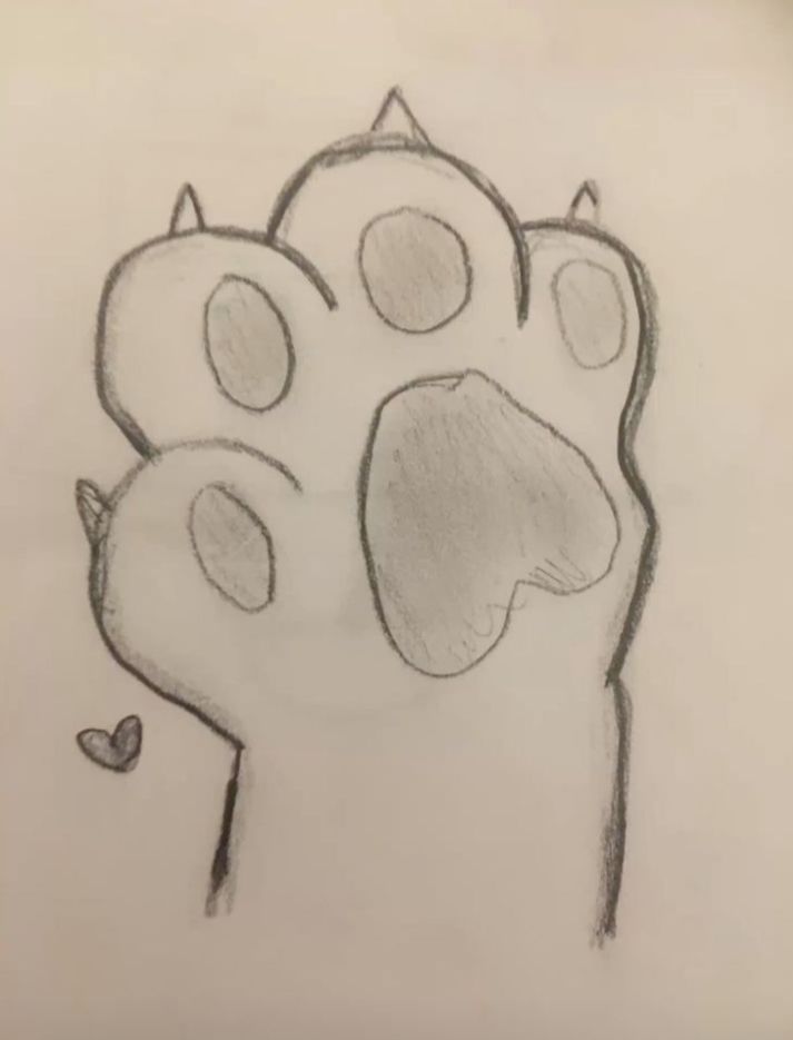 Pata de animal fofa para desenhar fácil quando estiver com tédio