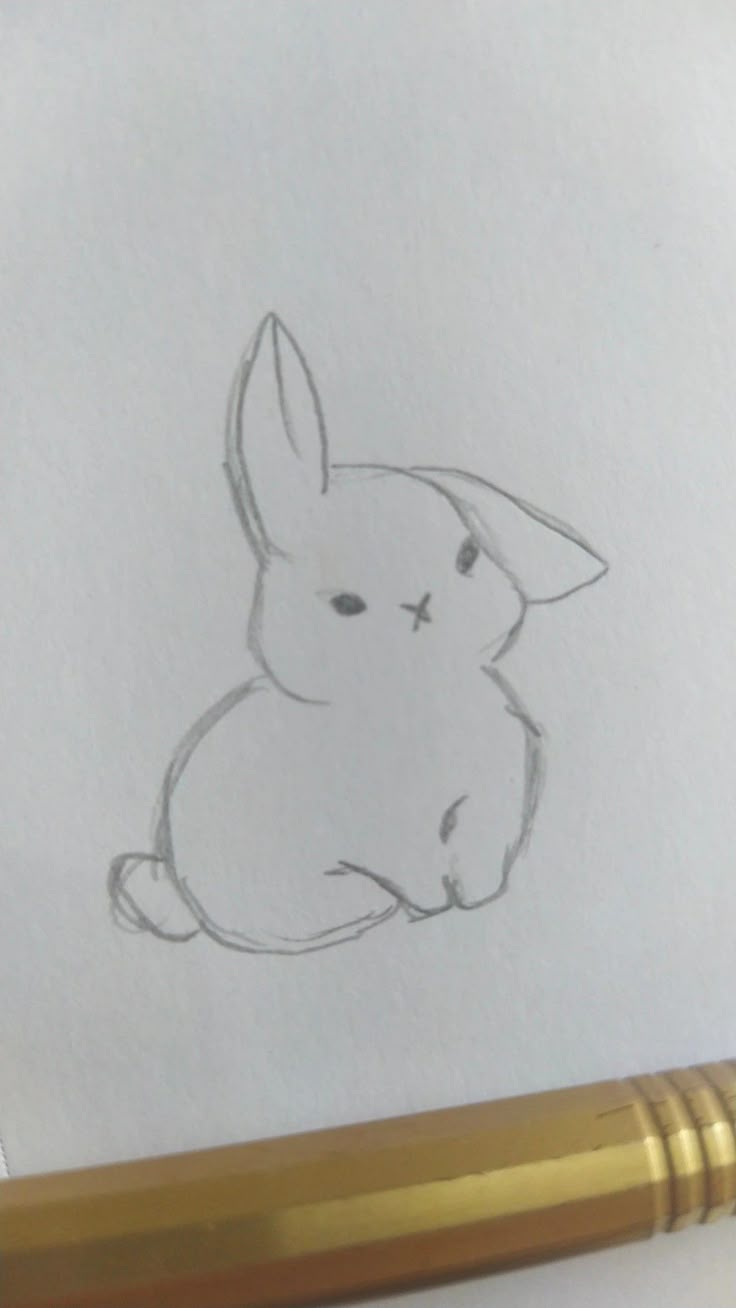Coelho fofinho para desenhar fácil quando estiver com tédio