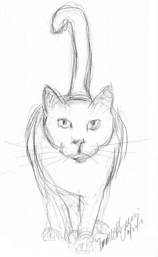 Gato fofo para desenhar fácil quando estiver com tédio