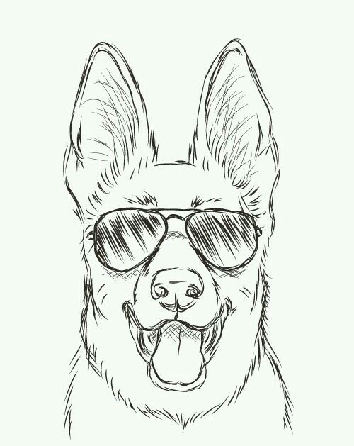Cachorro fofo usando óculos escuros para desenhar no tédio