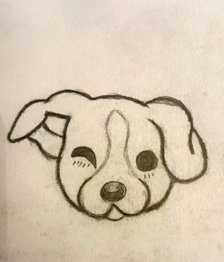 Cachorrinho fofo para desenhar quando estiver com tédio