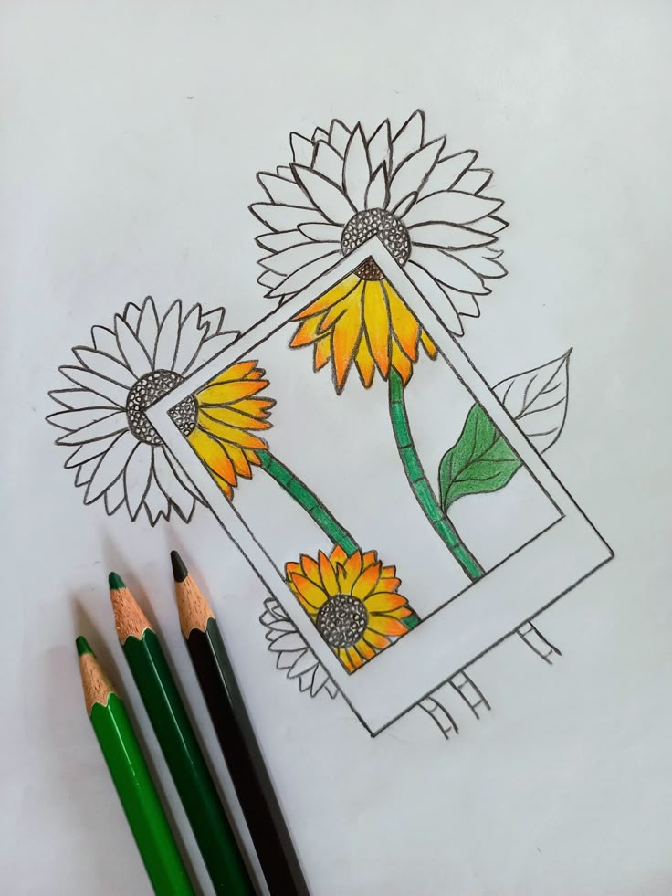 Desenho de flores coloridas em uma moldura vazia
