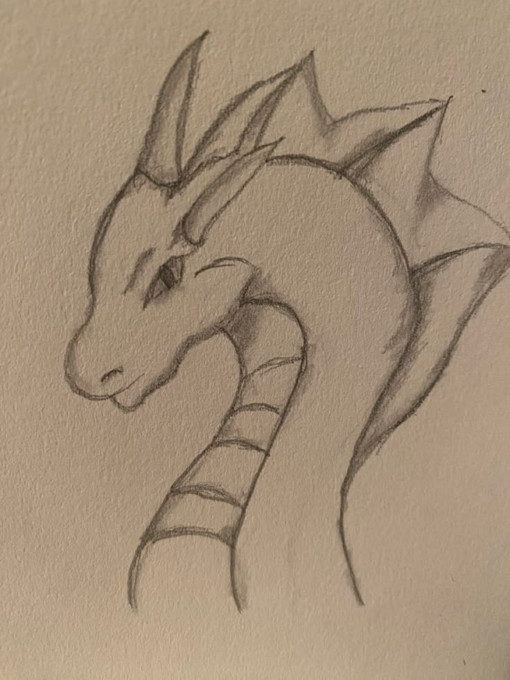 Desenho de um dragão em perfil com traços delicados