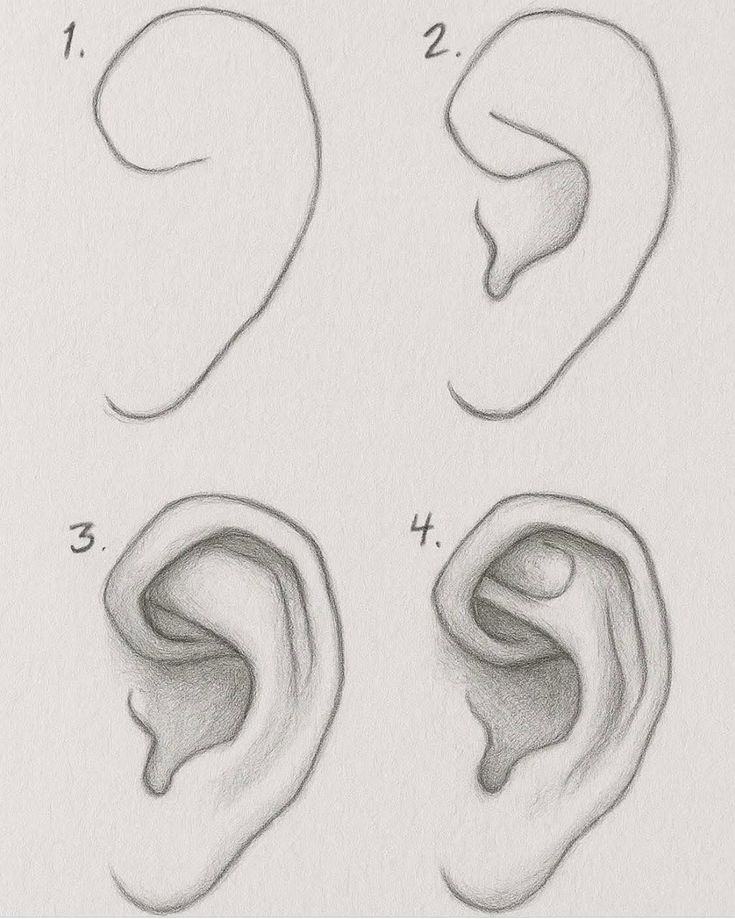 Como Desenhar uma orelha passo a passo