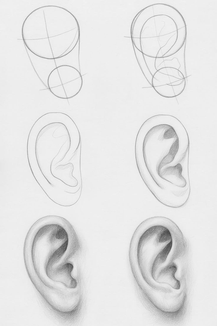Como Desenhar a orelha em 6 etapas