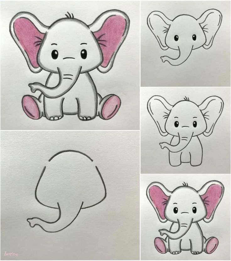 Como Desenhar um elefante fofo a lápis