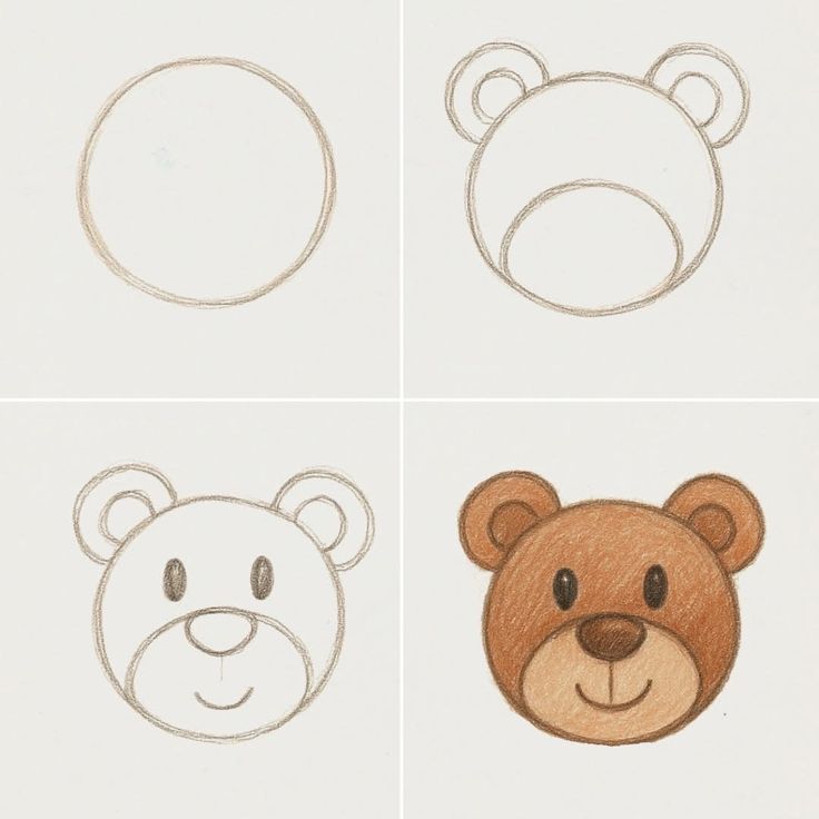 Como Desenhar um urso fofo passo a passo