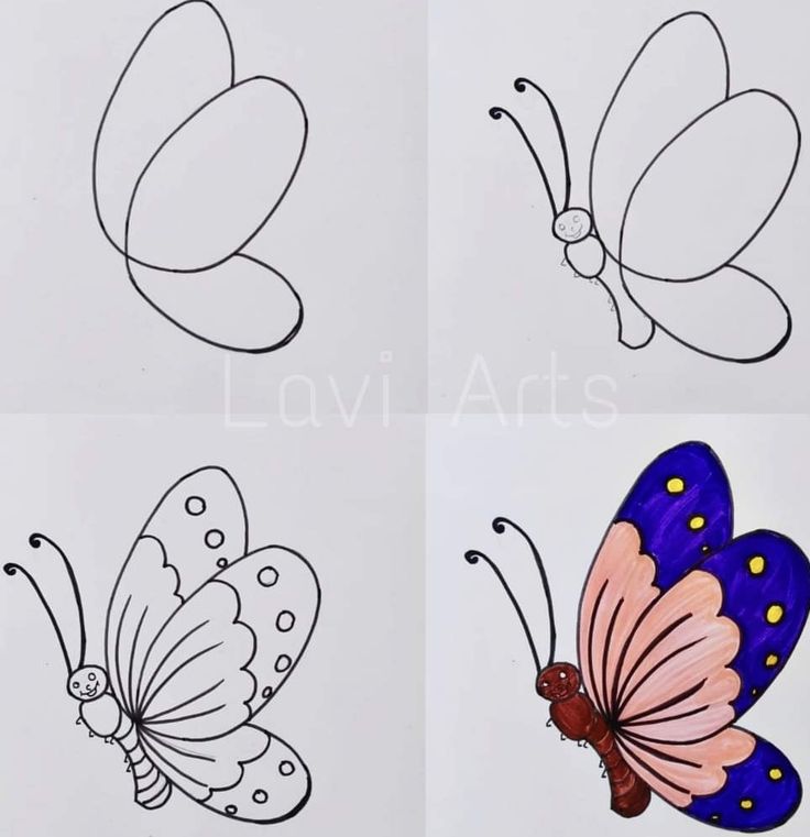 Como Desenhar uma borboleta colorida fácil