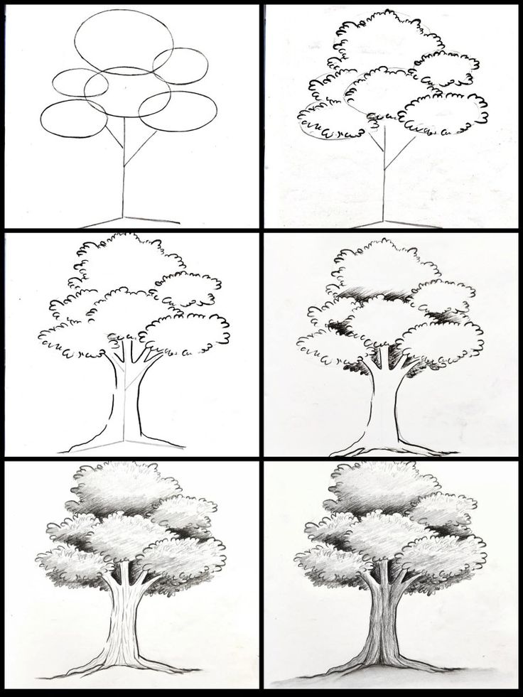 Como Desenhar uma árvore passo a passo fácil