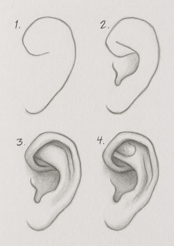 Como Desenhar uma orelha passo a passo