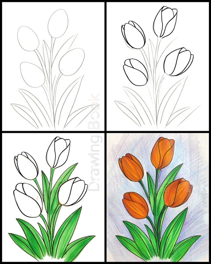 Como Desenhar flores coloridas e folhas