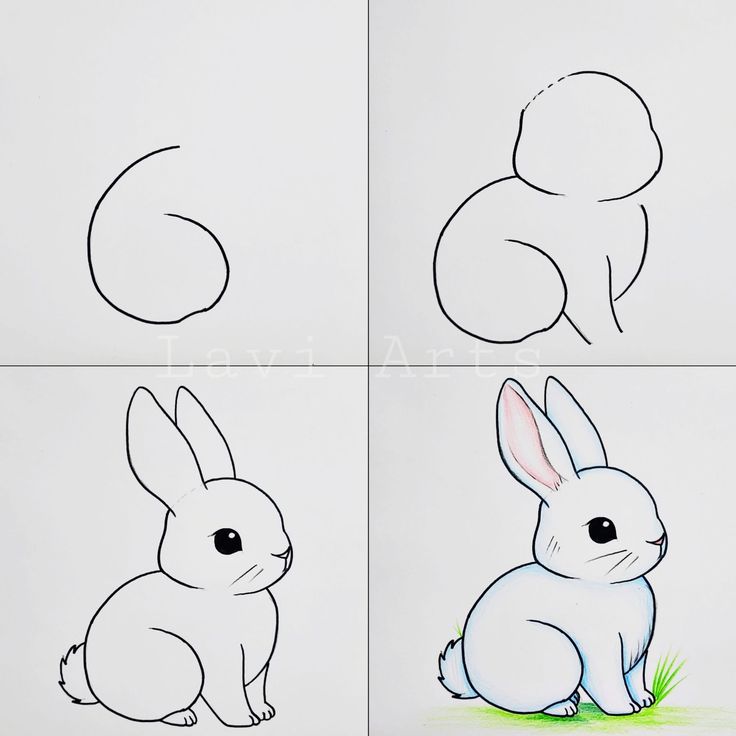 Como Desenhar um coelho fofo a lápis