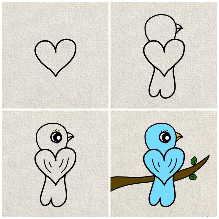 Como Desenhar um passarinho fofo