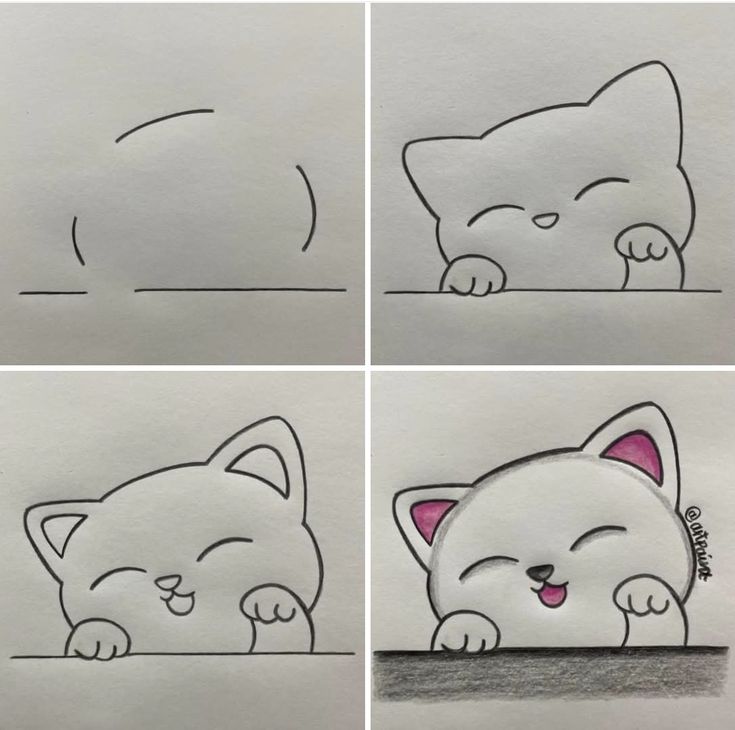 Como Desenhar um gato fofo em quatro etapas