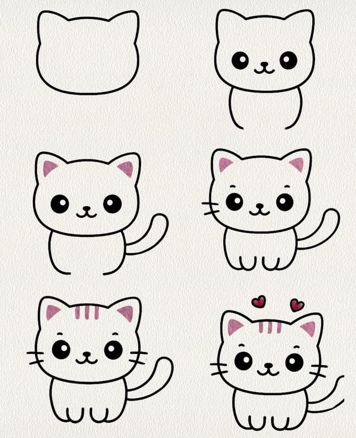 Como Desenhar um gato fofo passo a passo