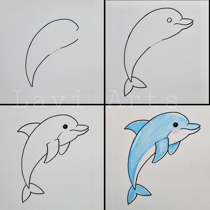 Como Desenhar um golfinho fofo