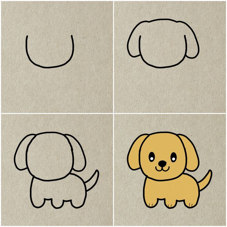 Como Desenhar um cachorro fofo