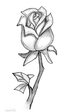 Desenho a Lápis: linda rosa com caule e folhas
