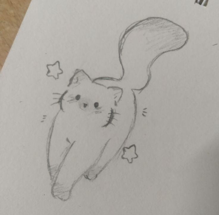Desenho a Lápis: gato fofo com estrelas para desenhar