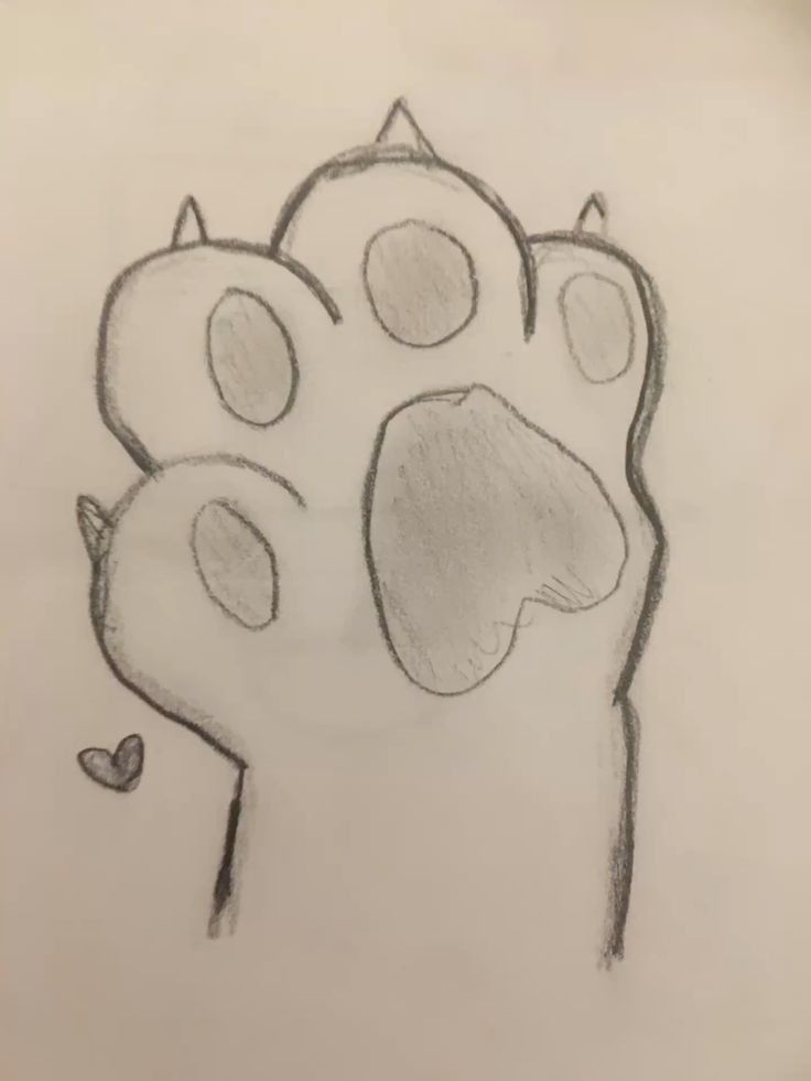 Desenho a Lápis: Pata de Gato Simples para Desenhar