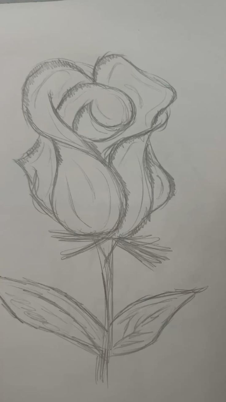 Desenho a Lápis: rosa simples e elegante