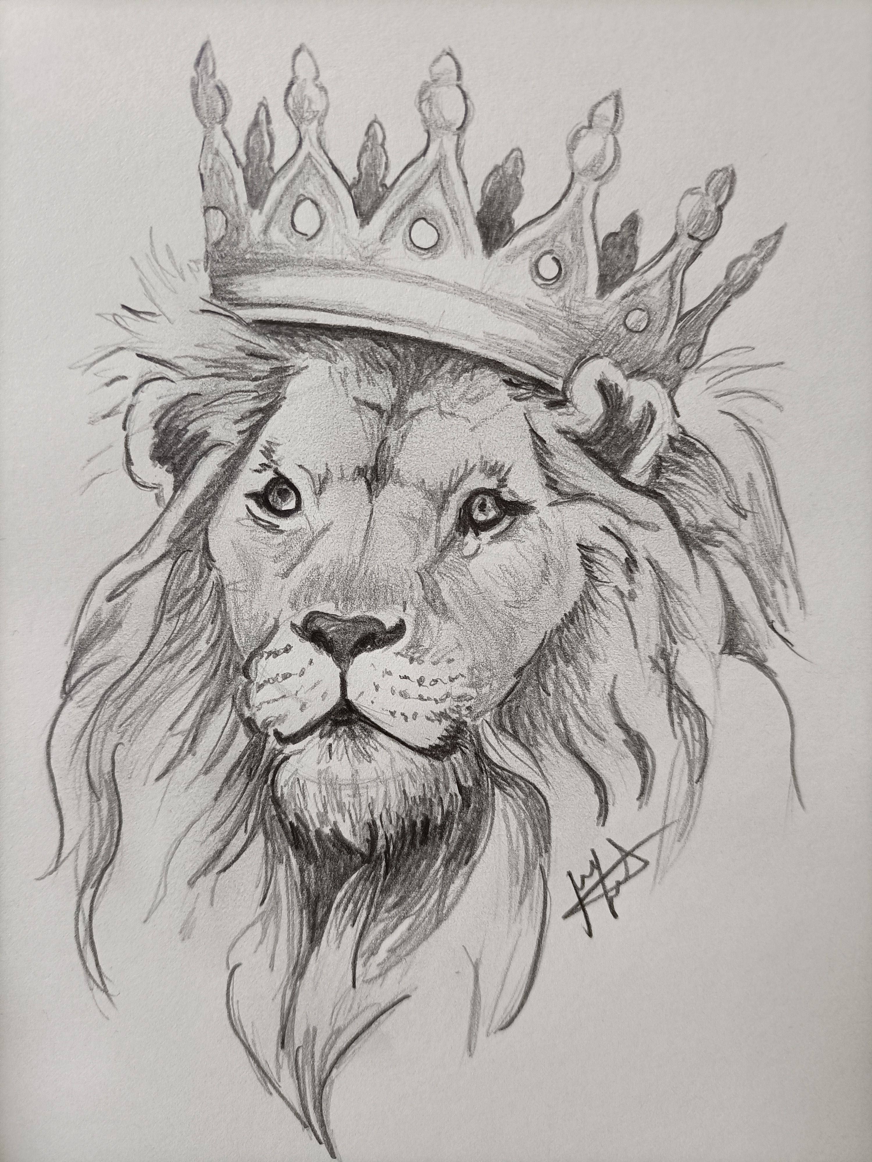 Desenho a Lápis: leão majestoso com coroa
