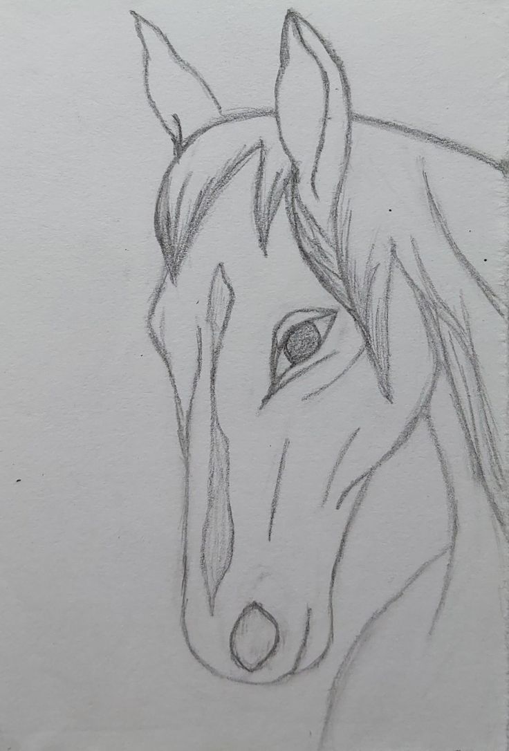 Desenho a Lápis: cavalo realista em perfil