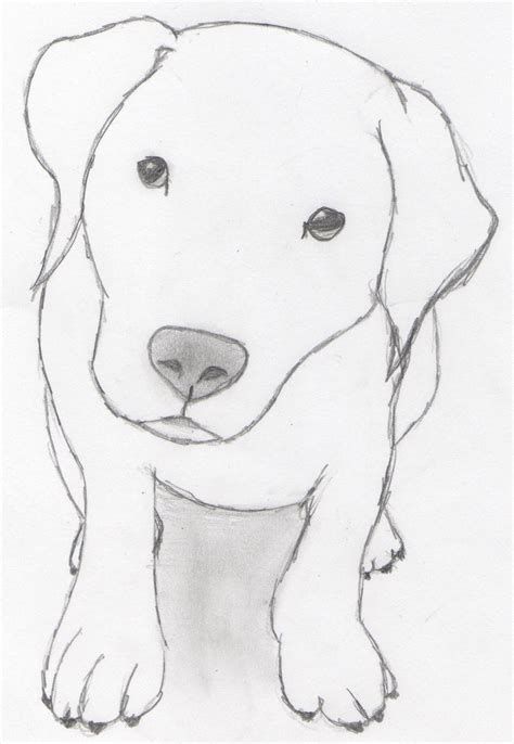 Desenho a Lápis: cachorro fofo para desenhar