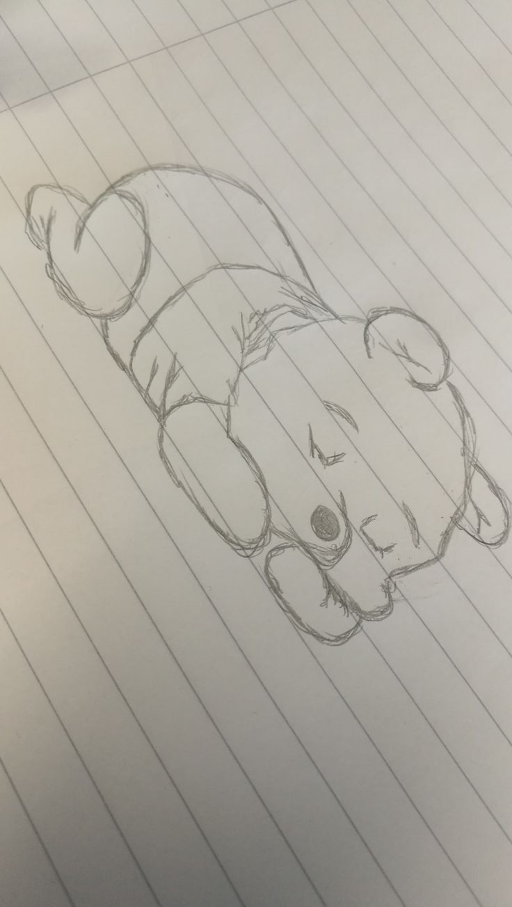 Desenho a Lápis: ursinho de pelúcia para desenhar