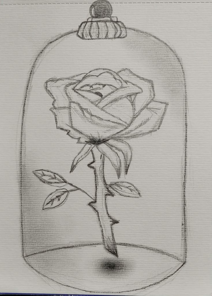 Desenho a Lápis: rosa em redoma de vidro para desenhar