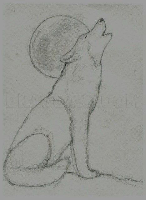 Desenho a Lápis: lobo uivando para a lua