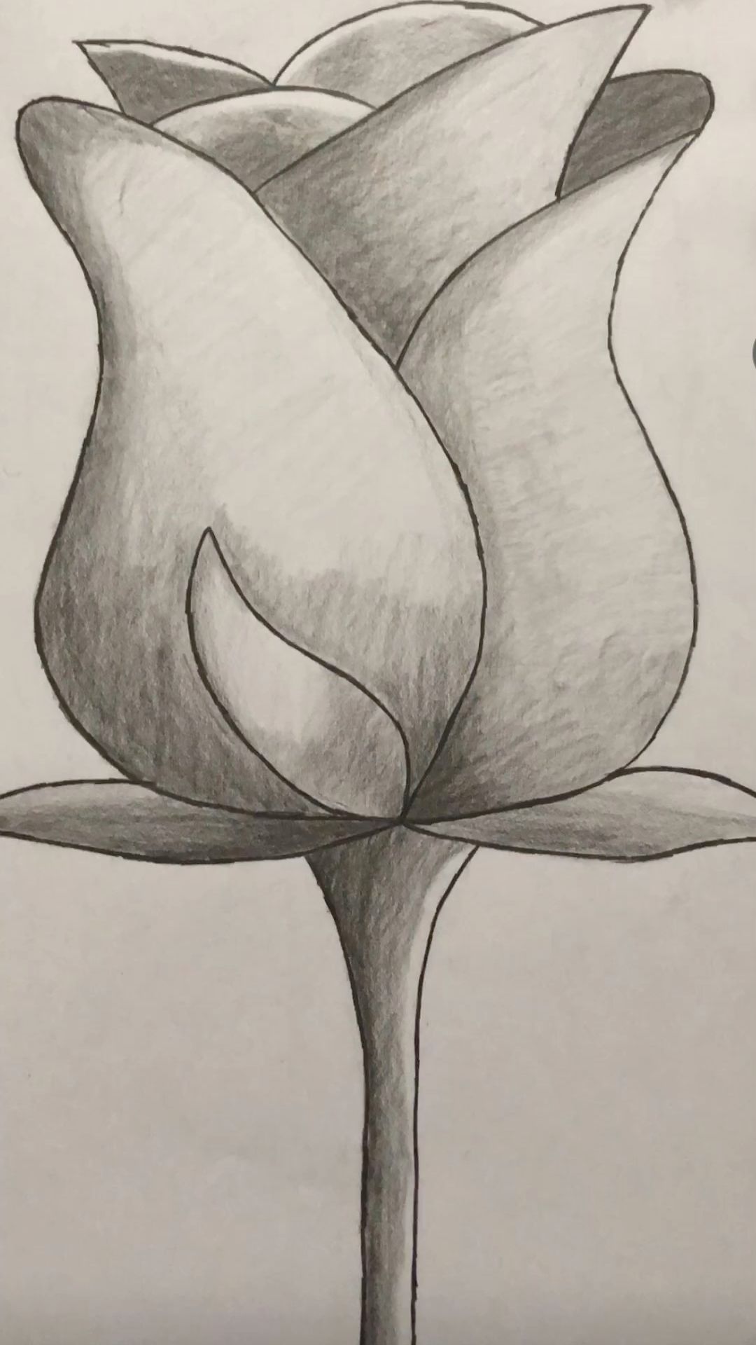 Desenho a Lápis: Rosa Elegante em Tons de Cinza