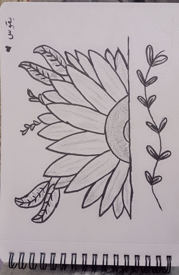 Desenho a Lápis: meio girassol com folhas para desenhar
