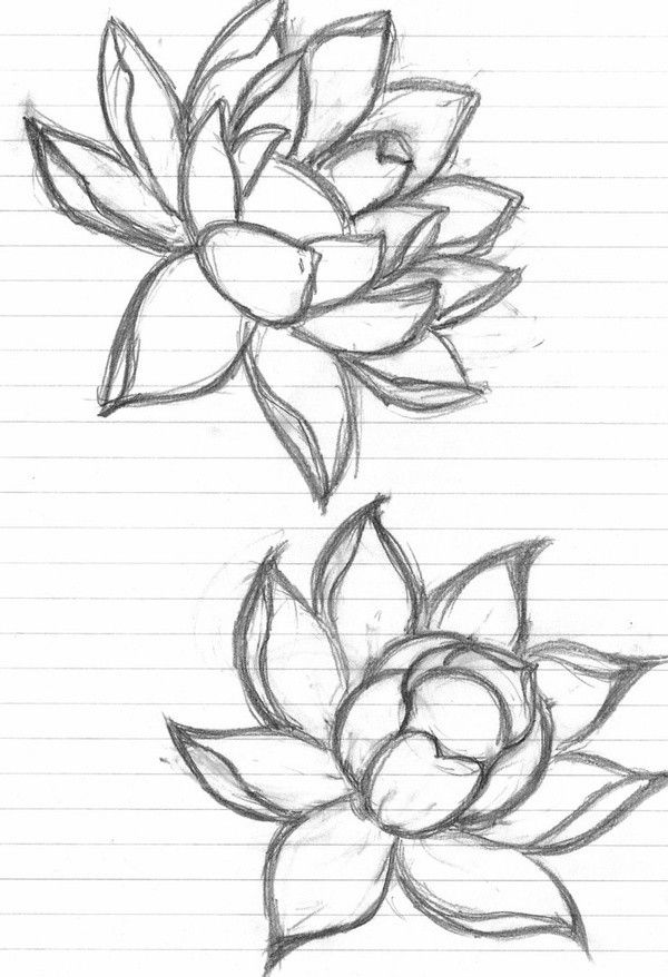 Desenho a Lápis: flores de lótus para desenhar