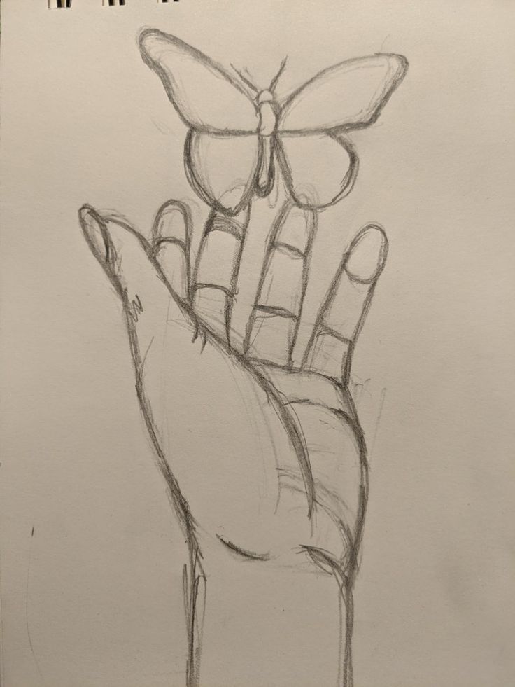 Desenho a Lápis: Borboleta Pousada na Mão para Iniciantes